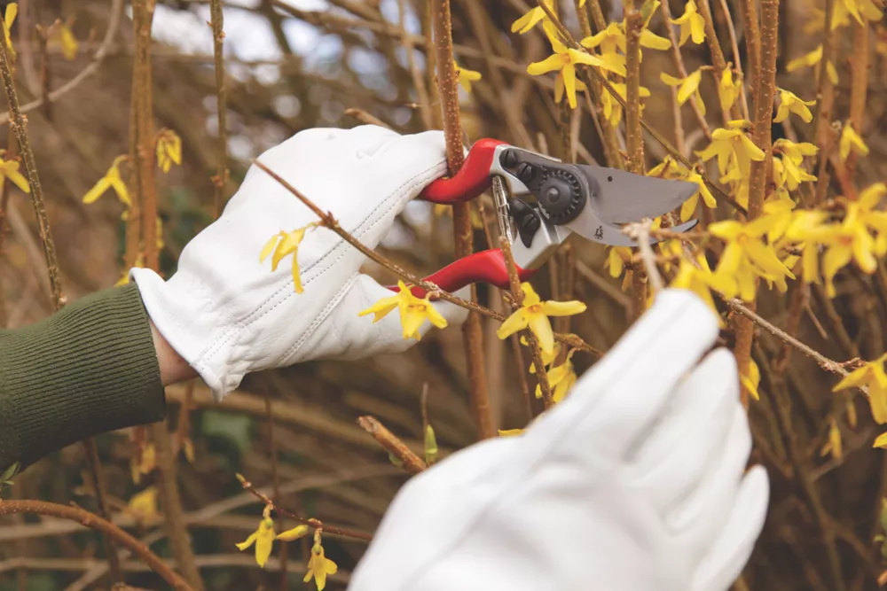 Spear And Jackson Spear & Jackson Bypass Razorsharp Left-Handed Secateurs 8 1/2" (213mm) - Image 3