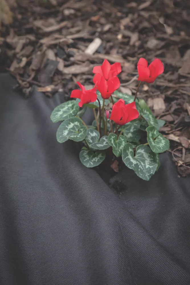 Apollo® Apollo Weed Control Fabric Roll 14 X 1m - Image 3