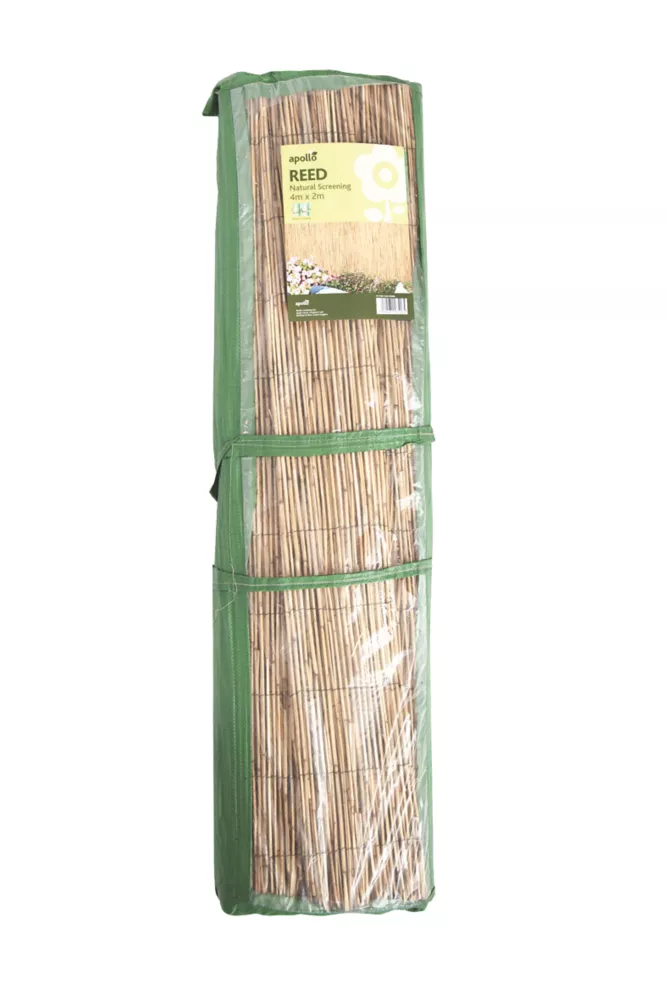 Apollo® Apollo Reed Garden Screen 4 X 2m - Image 2