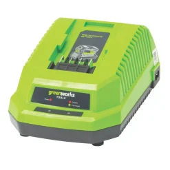 Greenworks GWG40C 40V Li-Ion Charger
