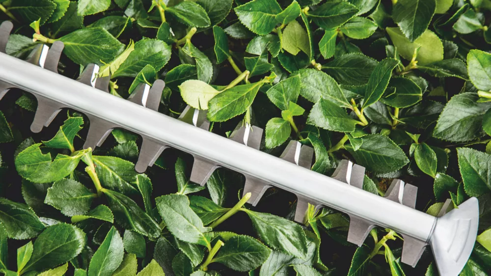 Bosch UniversalHedgeCut 50 50cm 480W 240V Corded Hedge Trimmer - Image 6